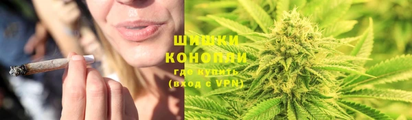 прущие крисы Горняк