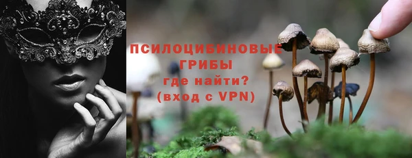 ALPHA-PVP Горнозаводск
