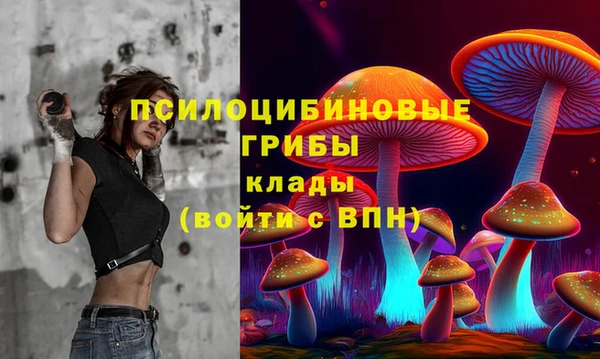 прущие крисы Горняк