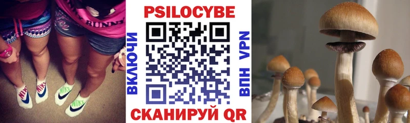 Галлюциногенные грибы прущие грибы  Инза 